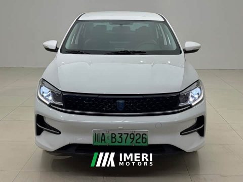 2024 Dongfeng Forthing S60 EV Commercial Edition - ავტომობილი ჩინეთიდან