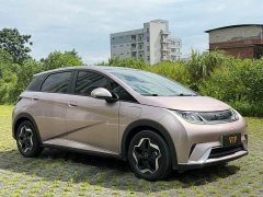 BYD Dolphin 405km Fashion Edition - ფოტო 3