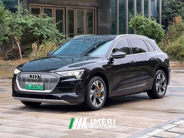 Audi e-tron (Imported) 2019 55 quattro Technik - ავტომობილი ჩინეთიდან