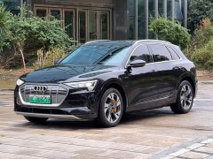 Audi e-tron (Imported) 2019 55 quattro Technik - ფოტო 1