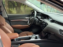 Audi e-tron (Imported) 2019 55 quattro Technik - ფოტო 11
