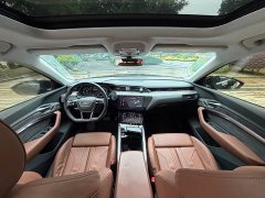 Audi e-tron (Imported) 2019 55 quattro Technik - ფოტო 14