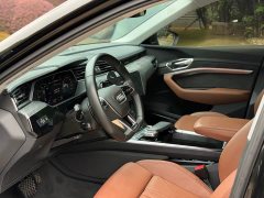 Audi e-tron (Imported) 2019 55 quattro Technik - ფოტო 16