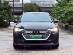 Audi e-tron (Imported) 2019 55 quattro Technik - ფოტო 2