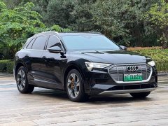 Audi e-tron (Imported) 2019 55 quattro Technik - ფოტო 3