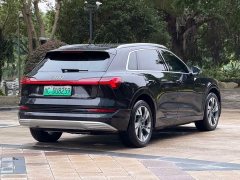 Audi e-tron (Imported) 2019 55 quattro Technik - ფოტო 4