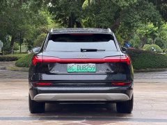 Audi e-tron (Imported) 2019 55 quattro Technik - ფოტო 5