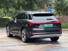 Audi e-tron (Imported) 2019 55 quattro Technik - ფოტო 6
