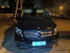 Mercedes-Benz V-Class V 260 L Long Wheelbase Luxury Edition - ფოტო 2