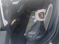 Tesla Model Y 2022 Facelift Rear-Wheel Drive - ფოტო 11