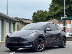 Tesla Model Y Rear-Wheel Drive - photo 1
