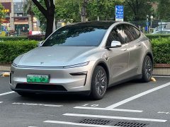 Tesla Model Y L Long Range All-Wheel Drive - photo 1