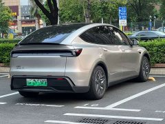 Tesla Model Y L Long Range All-Wheel Drive - photo 4