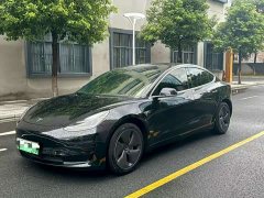 Tesla Model 3 Standard Range RWD Upgrade - ფოტო 1