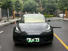 Tesla Model 3 Standard Range RWD Upgrade - ფოტო 2