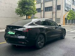 Tesla Model 3 Standard Range RWD Upgrade - ფოტო 6