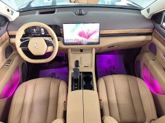 AITO Wenjie M7 2024 1.5T RWD Plus 5-Seater - ფოტო 8
