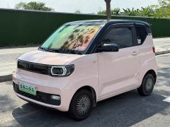 Wuling Hongguang MINIEV Zizai Trim Ternary Lithium Battery - ფოტო 3