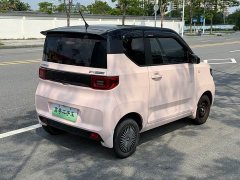 Wuling Hongguang MINIEV Zizai Trim Ternary Lithium Battery - ფოტო 6