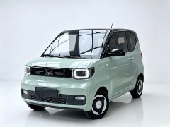 Wuling Hongguang MINIEV Zizai Trim Ternary Lithium Battery - ფოტო 1