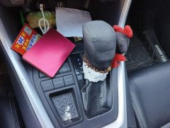 Toyota Wildland 2.0L CVT FWD Luxury Plus - ფოტო 10