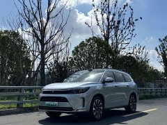 AITO M7 1.5T Intelligent Driving RWD Max 5-Seater - ფოტო 1
