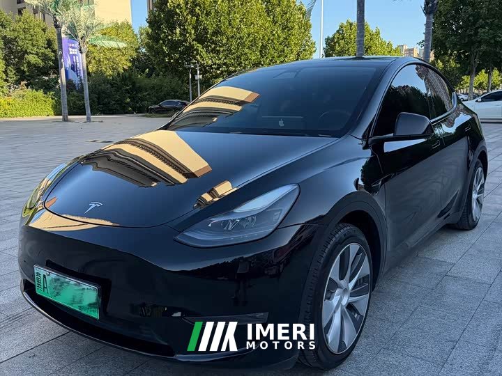 Tesla Model Y Standard Range RWD - ავტომობილი ჩინეთიდან