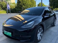 Tesla Model Y Standard Range RWD - ფოტო 1