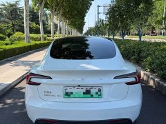Tesla Model 3 Long Range All-Wheel Drive - photo 11