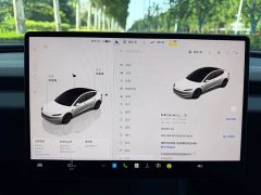 Tesla Model 3 Long Range All-Wheel Drive - photo 8