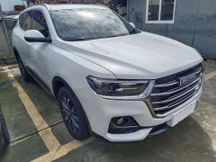 Haval H6 National Trend 1.5GDIT Automatic Champion Edition - ფოტო 3