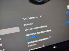 Tesla Model Y Rear-Wheel Drive - ფოტო 10