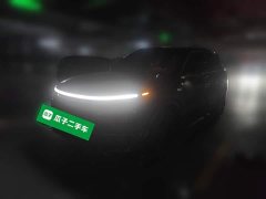 Li Auto L9 Max - ფოტო 1
