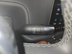 Li Auto L9 Max - ფოტო 10