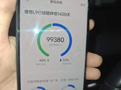 Li Auto L9 Max - ფოტო 8