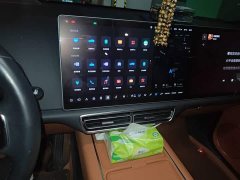 Li Auto L9 Max - ფოტო 9