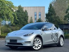 Tesla Model Y Rear-Wheel Drive - ფოტო 1