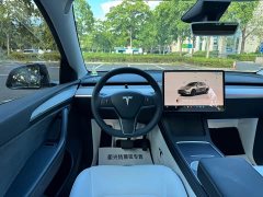Tesla Model Y Rear-Wheel Drive - ფოტო 10