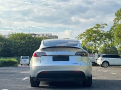 Tesla Model Y Rear-Wheel Drive - ფოტო 12
