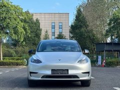 Tesla Model Y Rear-Wheel Drive - ფოტო 2
