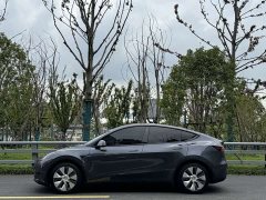 Tesla Model Y Facelift Rear-Wheel Drive - ფოტო 2