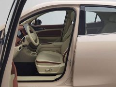 ORA Good Cat 430km Luxury - ფოტო 10
