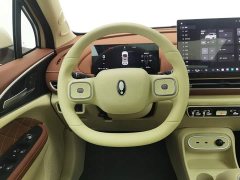 ORA Good Cat 430km Luxury - ფოტო 11