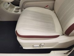 ORA Good Cat 430km Luxury - ფოტო 20