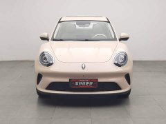 ORA Good Cat 430km Luxury - ფოტო 3