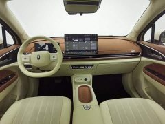 ORA Good Cat 430km Luxury - ფოტო 5