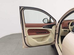 ORA Good Cat 430km Luxury - ფოტო 8