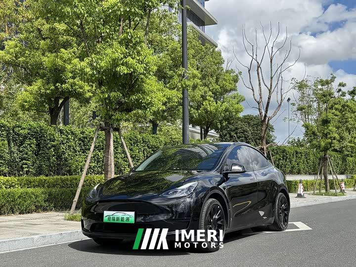 Tesla Model Y Rear-Wheel Drive