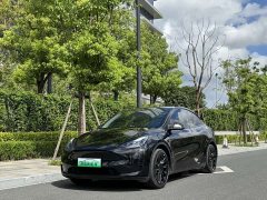 Tesla Model Y 2022 Rear-Wheel Drive - ფოტო 1