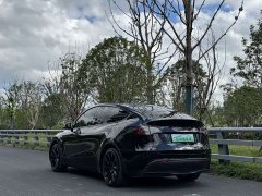Tesla Model Y 2022 Rear-Wheel Drive - ფოტო 17